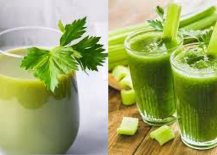 Segudang Manfaat Jus Seledri Untuk Kesehatan Tubuh Yang Jarang Diketahui!