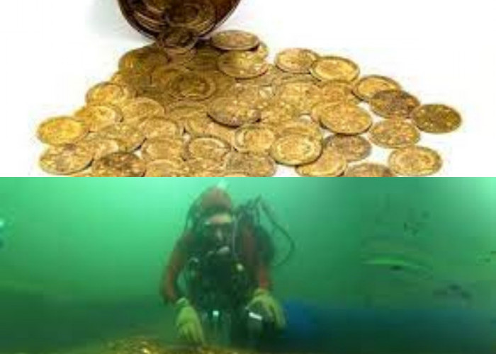 Terkenal dengan Rumor Kekayaan yang Berlimpah! Para Pemburu Harta Karun Berburu Kapal Merchant Royal