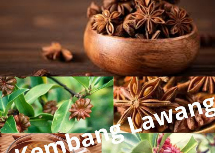  Manfaat Bunga Lawang untuk Kesehatan, Yuk Simak!