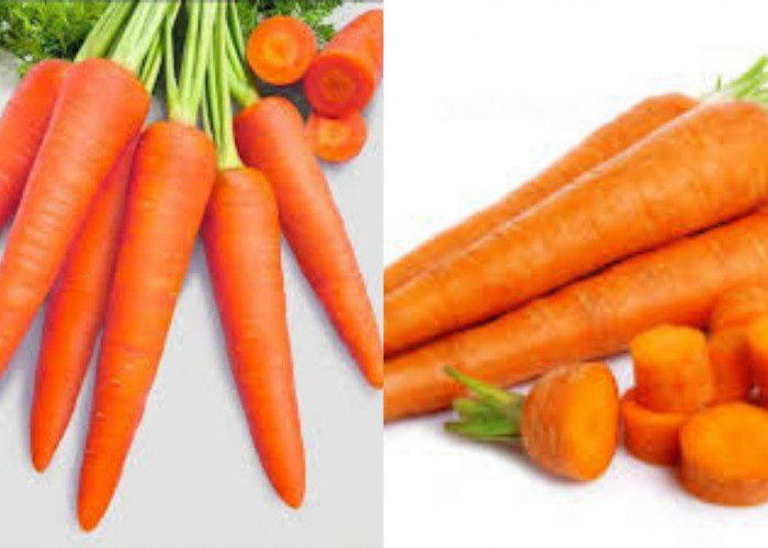 Jarang Diketahui Inilah Manfaat Wortel Untuk Kesehatan Yang Luar Biasa!