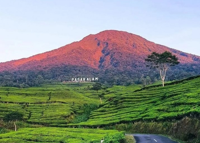 Tempat Healing Favorit Pendaki! Inilah 7 Gunung di Sumatera Yang Menyajikan Landaskap Alami