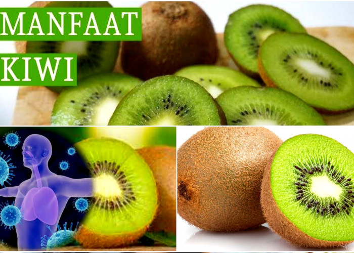 Kaya Akan Vitamin C. Manfaat Baik Buah Kiwi Bagus Untuk Imunitas Tubuh