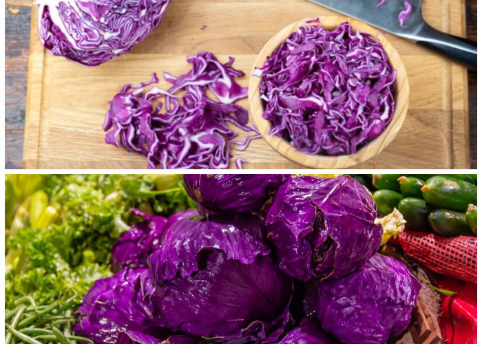 Tak Hanya Menarik Dilihat, Ini Khasiat Luar Biasa dari Kol Ungu bagi Kesehatan