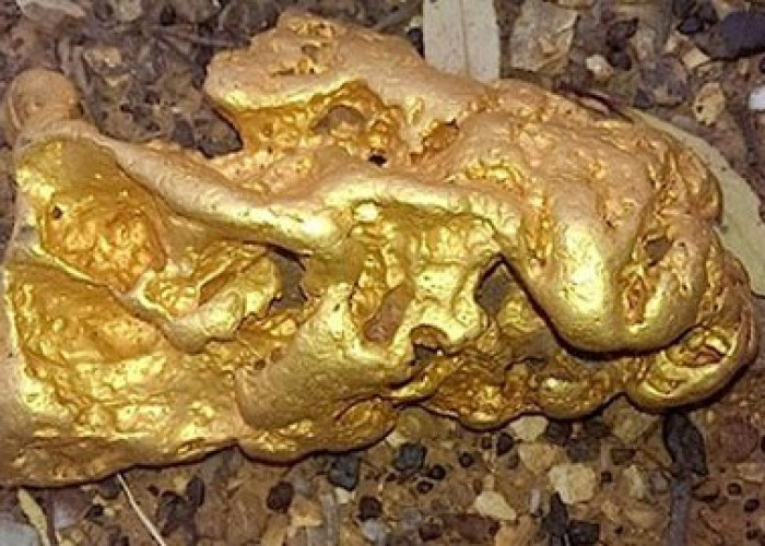 7 Temuan Emas Paling Spektakuler di Dunia Ini Bikin Ngiler Karena Bernilai Fantastik