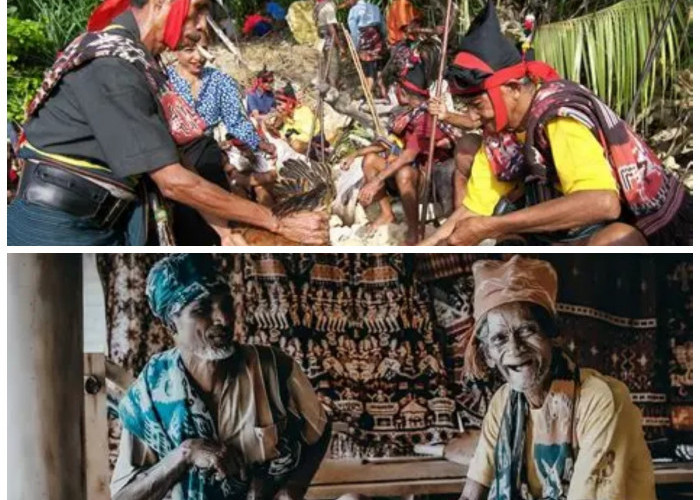 Mengenal Suku Sumba: Warisan Budaya Marapu yang Hidup di Nusa Tenggara Timur