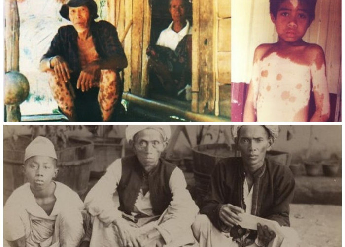 Jejak Budaya Suku Padoe: Warisan Pedalaman Sulawesi yang Menarik