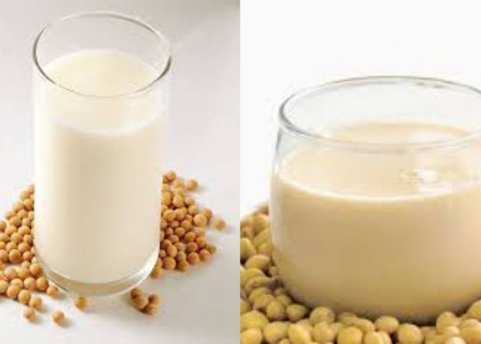 Kalian Harus Tahu Inilah Kandungan Gizi Dan Manfaat Susu Kedelai Untuk Kesehatan!