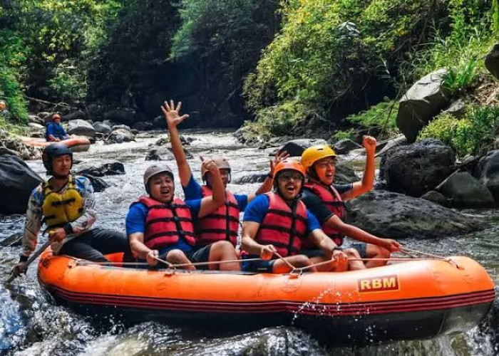 Kaliwatu Rafting Malang, Pengalaman Wisata Arung Jeram yang Menguji Adrenalin Anda