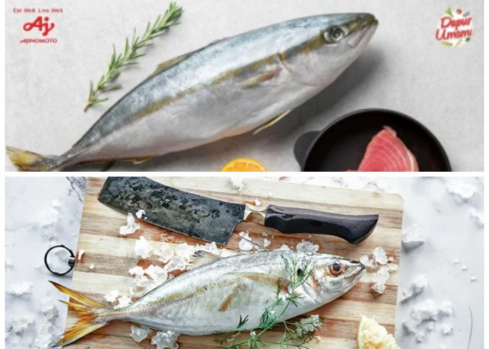 7 Keajaiban Ikan Tenggiri untuk Tubuh: Kaya Nutrisi dan Baik untuk Kesehatan