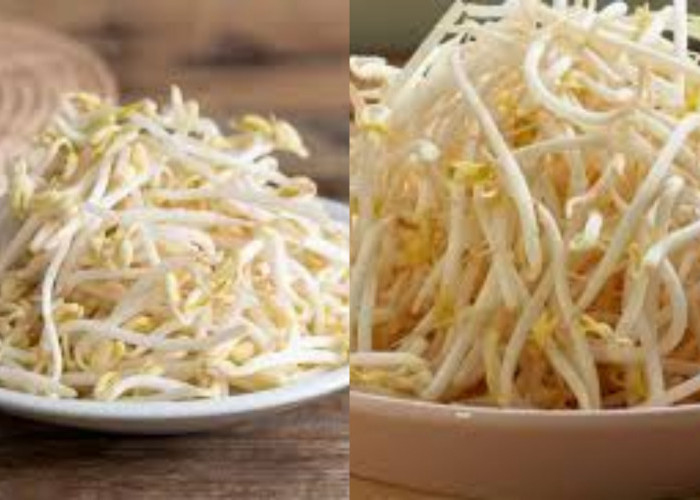 Manfaat Toge Untuk Pria, Bisa Mencegah Stroke Sampai Meningkatkan Kesuburan