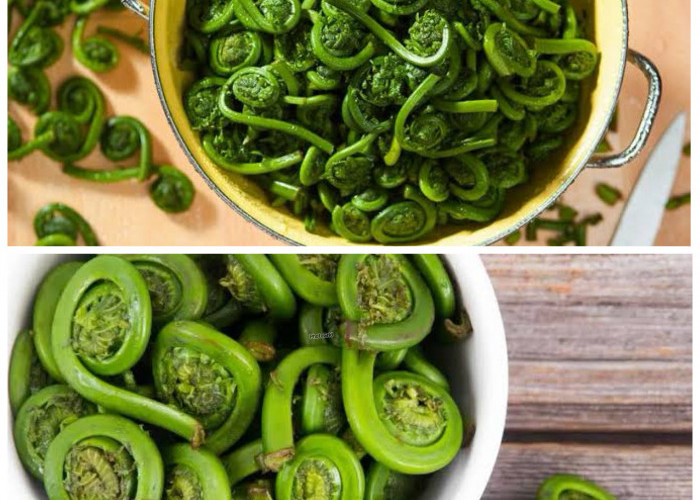 Tak Banyak yang Tahu, 7 Manfaat Sayur Pakis untuk Kesehatan yang Sayang Dilewatkan