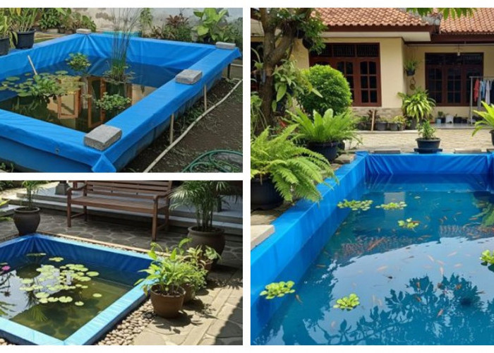 6 Cara Praktis Bikin Kolam Terpal Mini Anti Bocor, Panduan Lengkap untuk Pemula