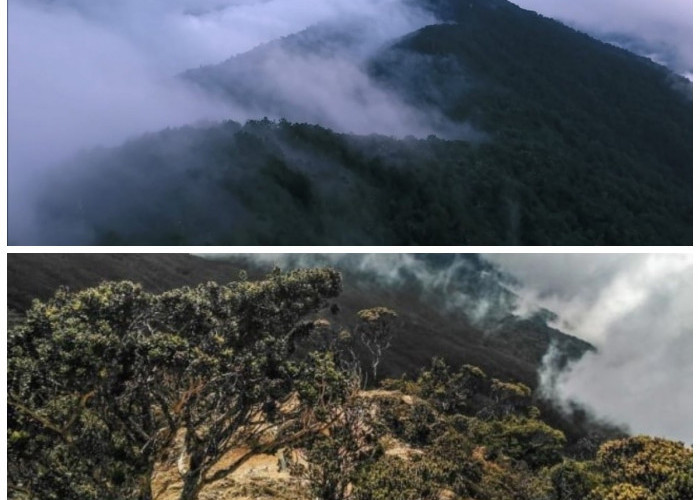 Menjelajah Gunung Latimojong: Surga Tersembunyi di Sulawesi Selatan