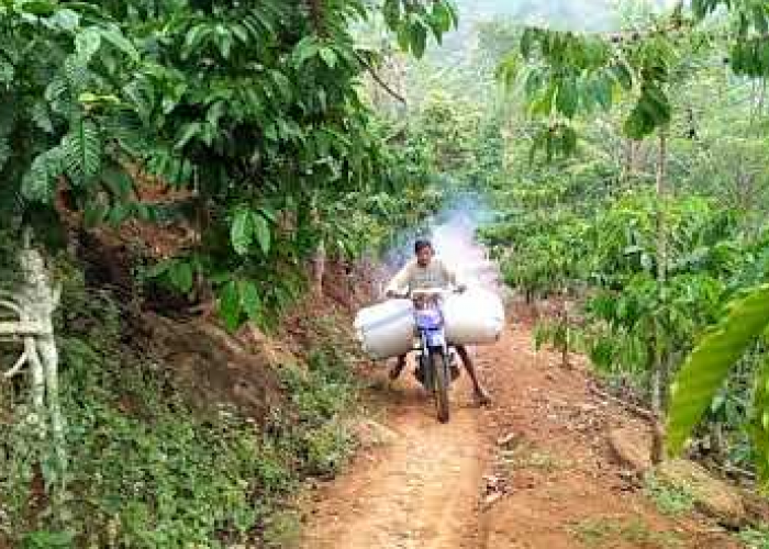  Warga Dusun Bumi Agung Kota Pagaralam Keluhkan Infrastruktur Pertanian yang Kurang