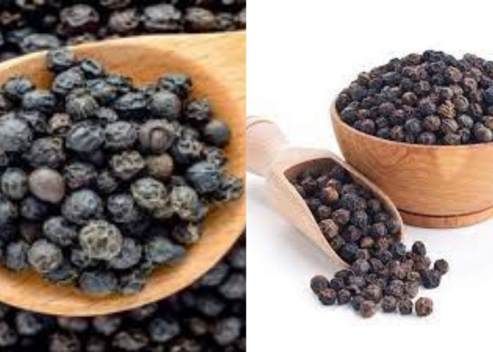  Mari Simak Disini! 7 Manfaat Lada Hitam Untuk Kesehatan Yang Luar Biasa