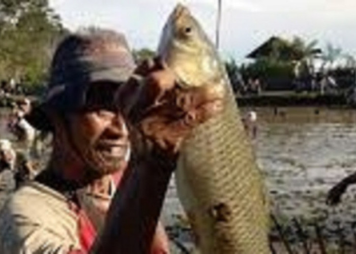 Jaga Tradisi, Lestarikan Kearifan Lokal