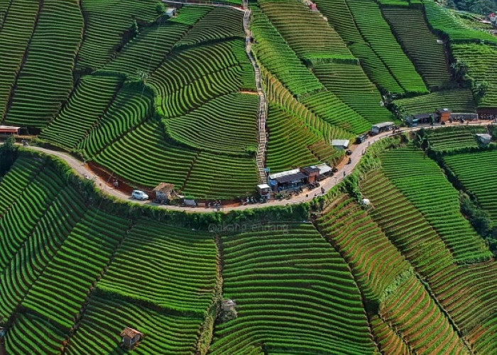 Majalengka Punya Cerita, Liburan Wisata Hits Yang Bikin Lupa Pulang