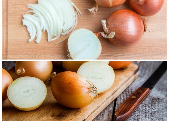 Manfaat Bawang Bombai: 9 Alasan Kenapa Sayuran Ini Baik untuk Tubuh Kamu!