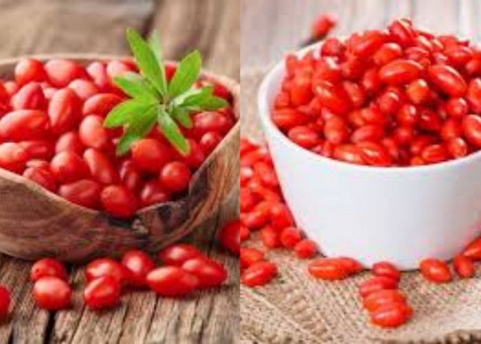8 Manfaat Goji Berry Untuk Kesehatan Tubuh Yang Jarang Diketahui!