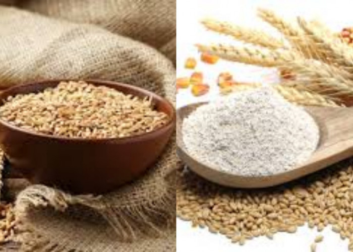 Yuk Intip! Manfaat Gandum Utuh untuk Kesehatan Yang Jarang Diketahui