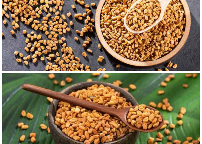 Manfaat Tersembunyi Fenugreek: Rahasia Alami untuk Menjaga Kesehatan Tubuh