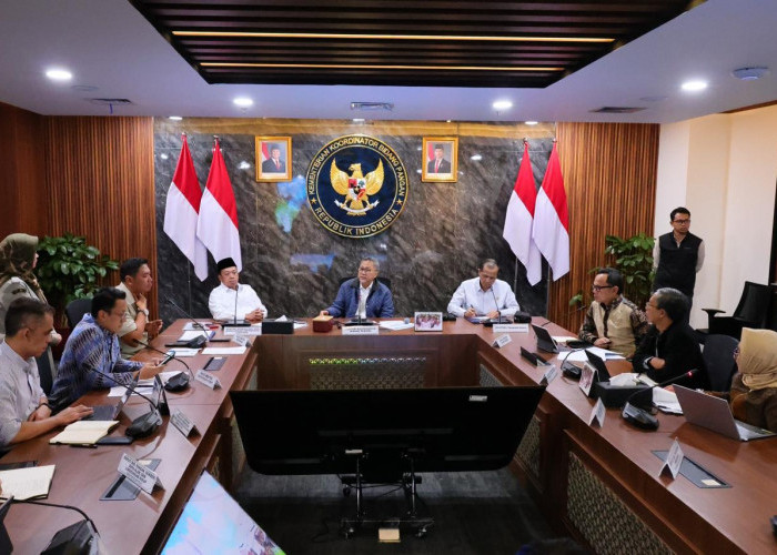 Pemerintah Tetapkan Lahan Sawah Terdampak Perlindungan di 12 Provinsi untuk Perkuat Ketahanan Pangan