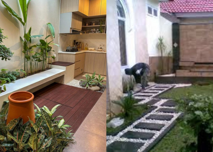 Halaman Belakang Rumah Sederhana: Ide Segar untuk Suasana Nyaman dan Hijau!