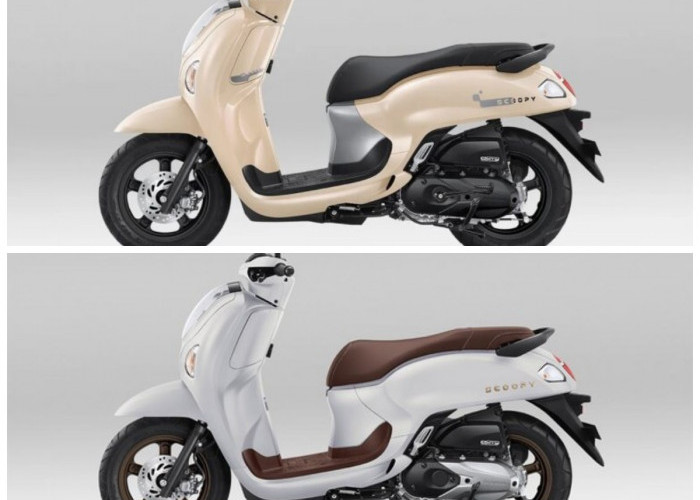 Andalan Harian! Honda Scoopy 2026: Mesin Responsif, Konsumsi BBM Super Irit, dan Suspensi Empuk