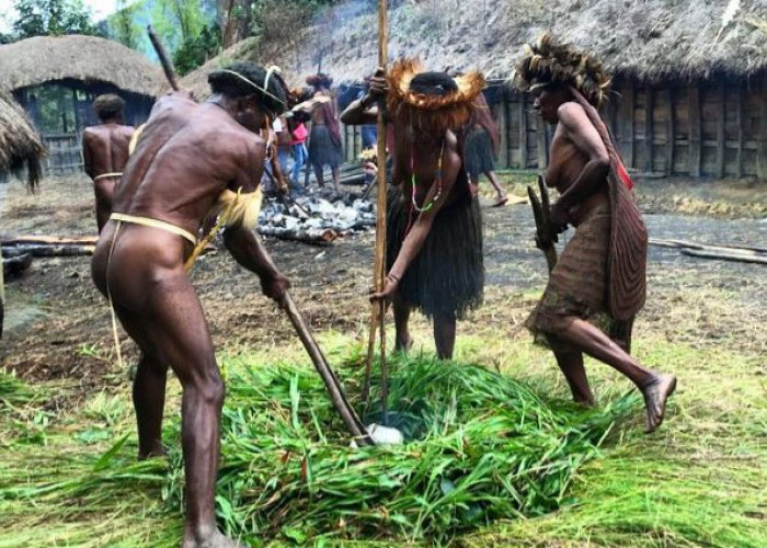 Papua Unik, Memasak Bakar Batu Suku Dani, Tradisi Warisan Nenek Moyang