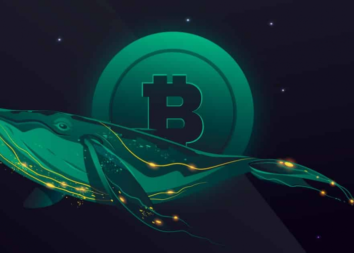 Whale Bitcoin di Bursa Kripto Bybit dan HTX: Sentimen Bullish Menguat