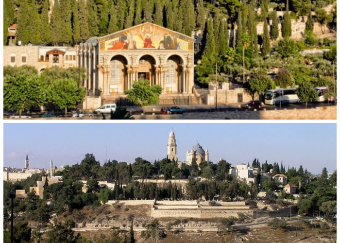 Menelusuri Sejarah Bukit Zaitun: Titik Suci dalam Lintasan Waktu!