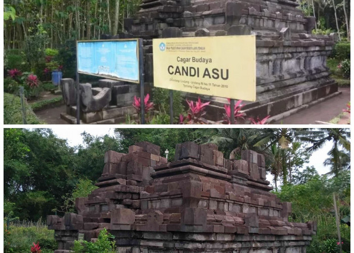 Misteri dan Pesona Candi Asu di Lereng Merapi: Fakta Menarik yang Harus Anda Ketahui