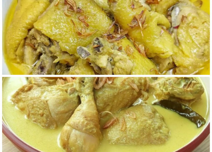  Cara Mudah Membuat Opor Ayam Kuning Lezat, Sajian Favorit Keluarga di Rumah