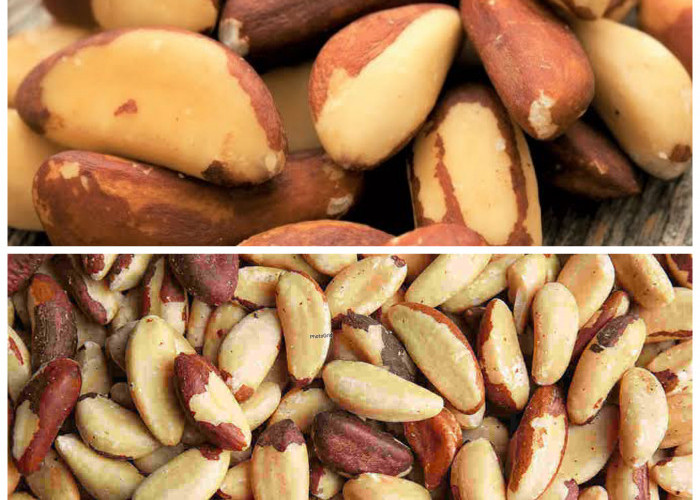 8 Khasiat Kacang Brazil untuk Tubuh, Kaya Nutrisi dan Mudah Dikonsumsi