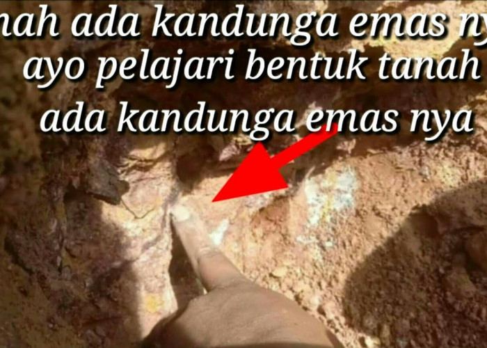 Peneliti: Emas Gunung Padang Sengaja Ditimbun, Mengungkap Fakta Menarik Harta Tersembunyi Gunung Padang 