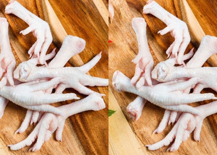 Sumber Kolagen Alami Inilah Manfaat Ceker Ayam Untuk Kesehatan Yang Luar Biasa! 