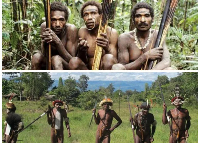 Kisah Sejarah Koteka: Jejak Tradisi Leluhur yang Menjadi Simbol Budaya Papua!