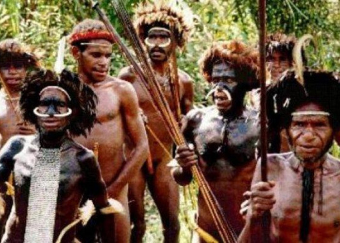 Papua Nugini Dengan Papua Indonesia Apa Bedanya? Disini Jawabannya