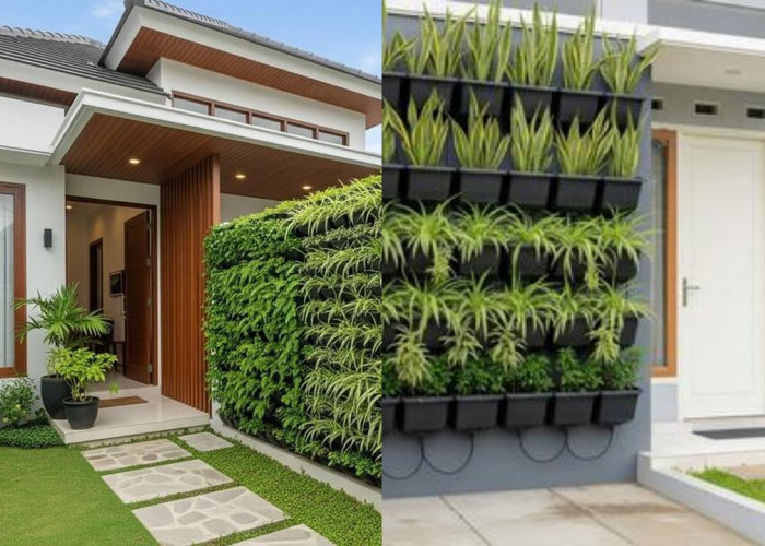 Kebun Hidroponik Rumahan yang Sederhana dan Cocok untuk Halaman Kecil!