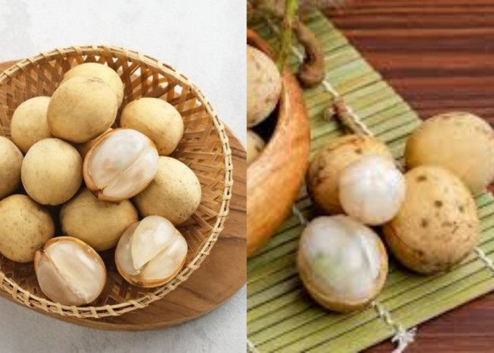 Buah Duku, Si Kecil yang Kaya Nutrisi dan Bermanfaat untuk Kesehatan!