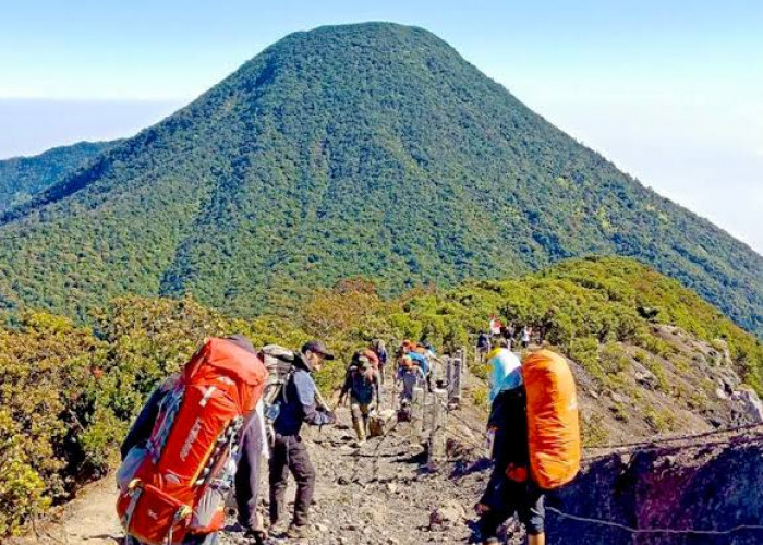 Kabar Gembira Bagi Pendaki, Gunung Gede Pangrango Kembali Dibuka