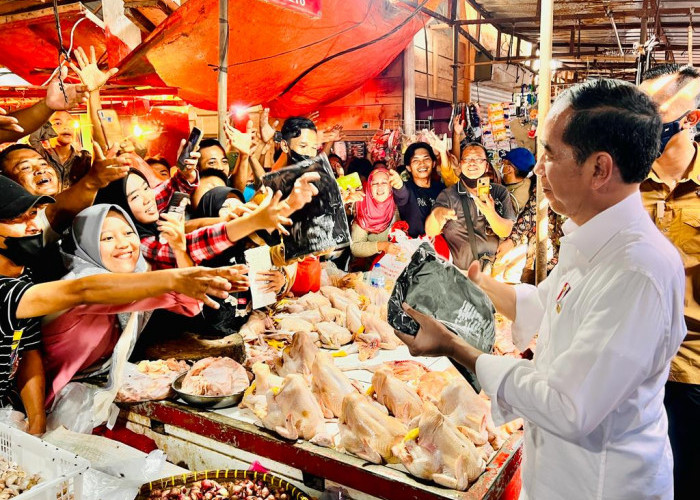 Kunjungi Pasar Natar Lampung, Presiden Tinjau Harga Komoditas Pangan