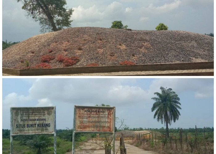 Sejarah Bukit Kerang: Menelusuri Jejak Peradaban Manusia Purba di Nusantara!