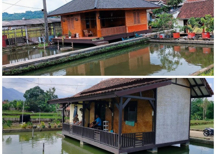 Sejuk dan Menawan! Ide Desain Rumah dengan Kolam Ikan di Bawahnya untuk Suasana Lebih Tenang