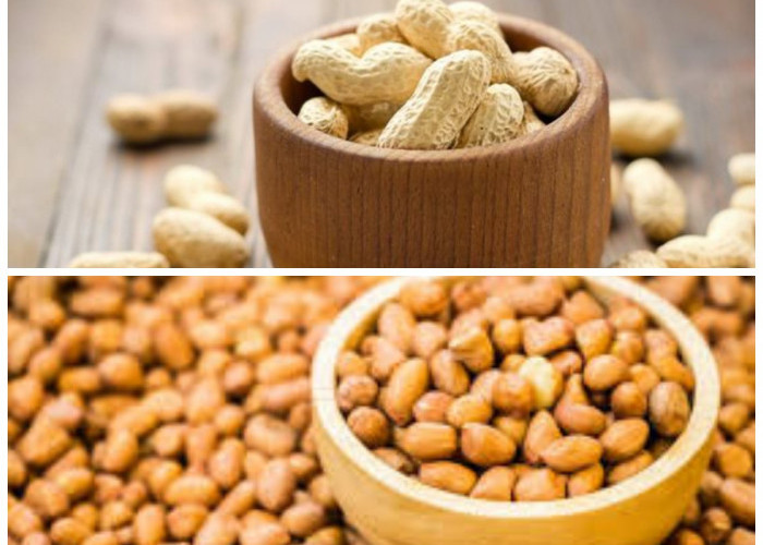  8 Manfaat Kacang untuk Tubuh: Lezat dan Menyehatkan Sekaligus