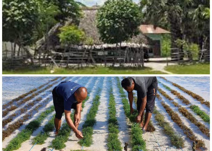Mengenal Suku Sabu: Tradisi, Kearifan Lokal, dan Warisan Leluhur dari Nusa Tenggara Timur