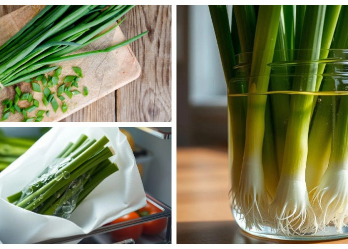 Rahasia Kulkas: Cara Menyimpan Daun Bawang Agar Tetap Segar Hingga 3 Minggu