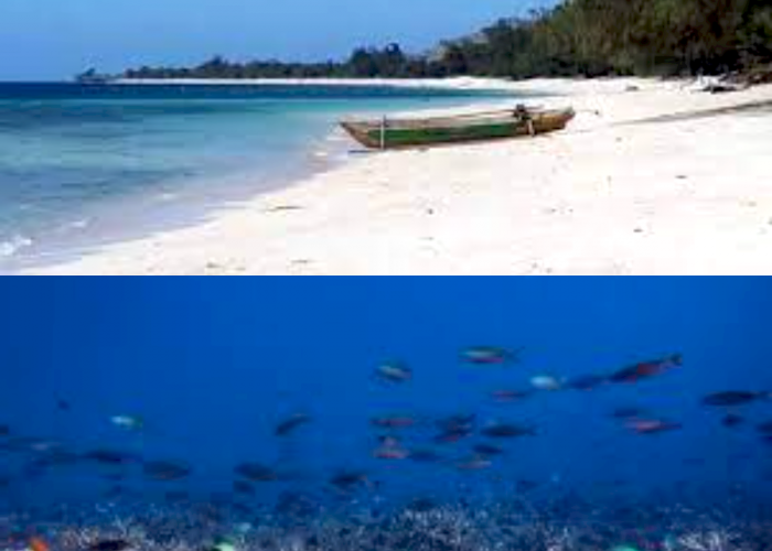 Eksplorasi Keindahan Alami, Inilah Keunikan Pantai Puru Kambera di Pulau Sumba!