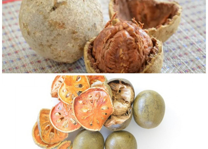 Rahasia Sehat Buah Kawista: 6 Khasiat Penting untuk Tubuh dari Pencernaan hingga Jantung