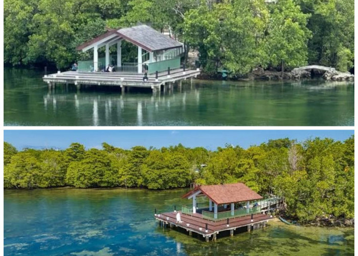 Sejarah Pulau Kapota: Jejak Peradaban Maritim di Selatan Wakatobi!